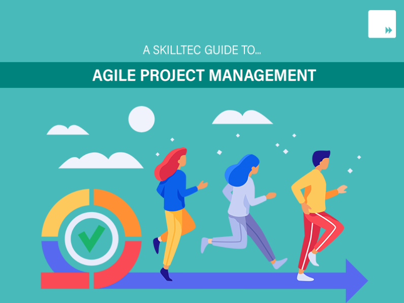 Guide to Agile